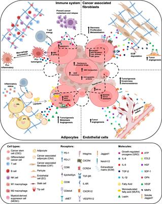 Messing Up the Cancer Stem Cell Chemoresistance Mechanisms Supported by Tumor Microenvironment